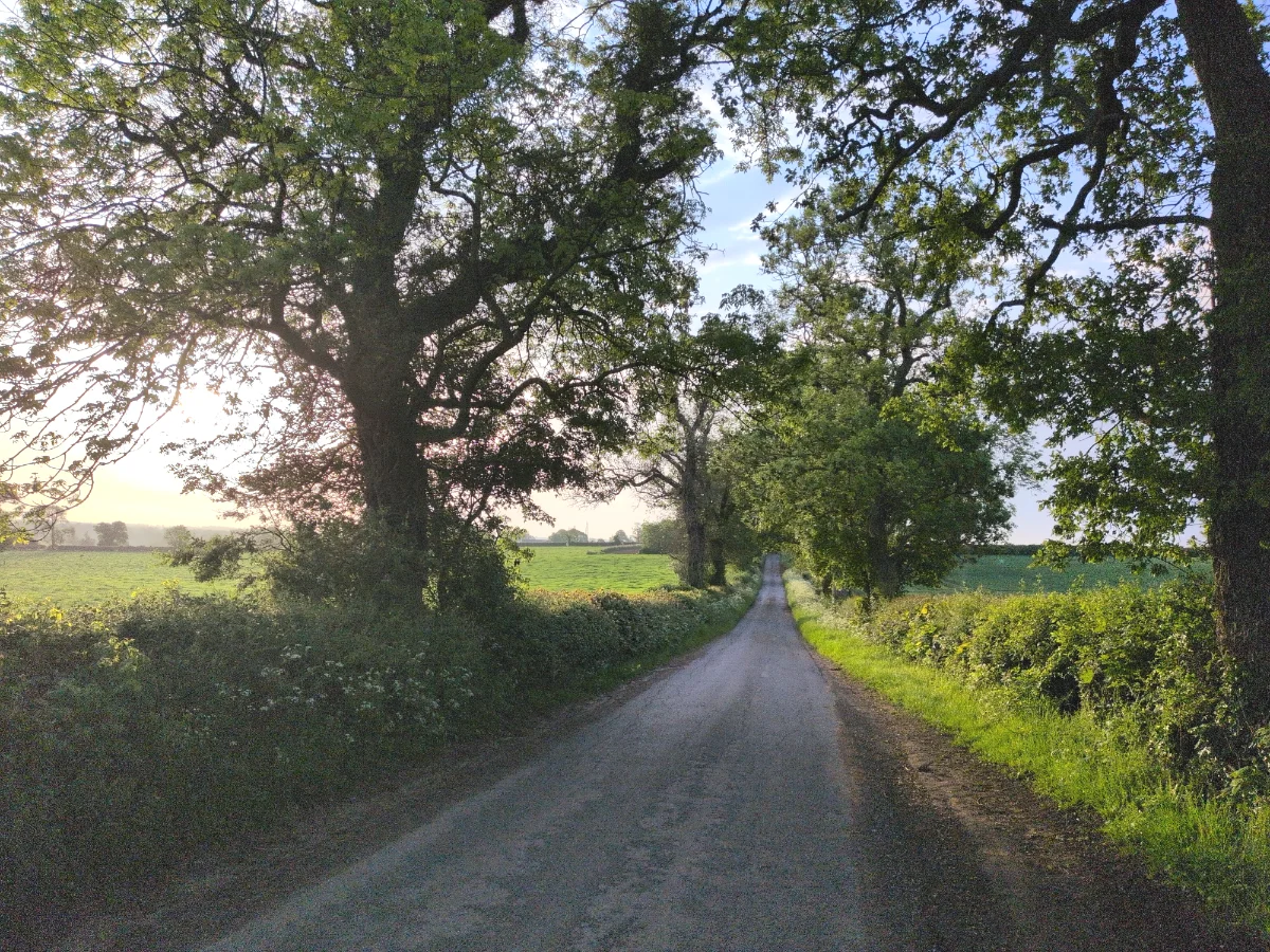 Country roads