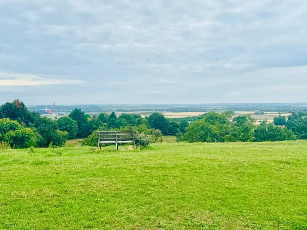 Bench in a field
